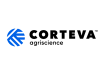 Corveta